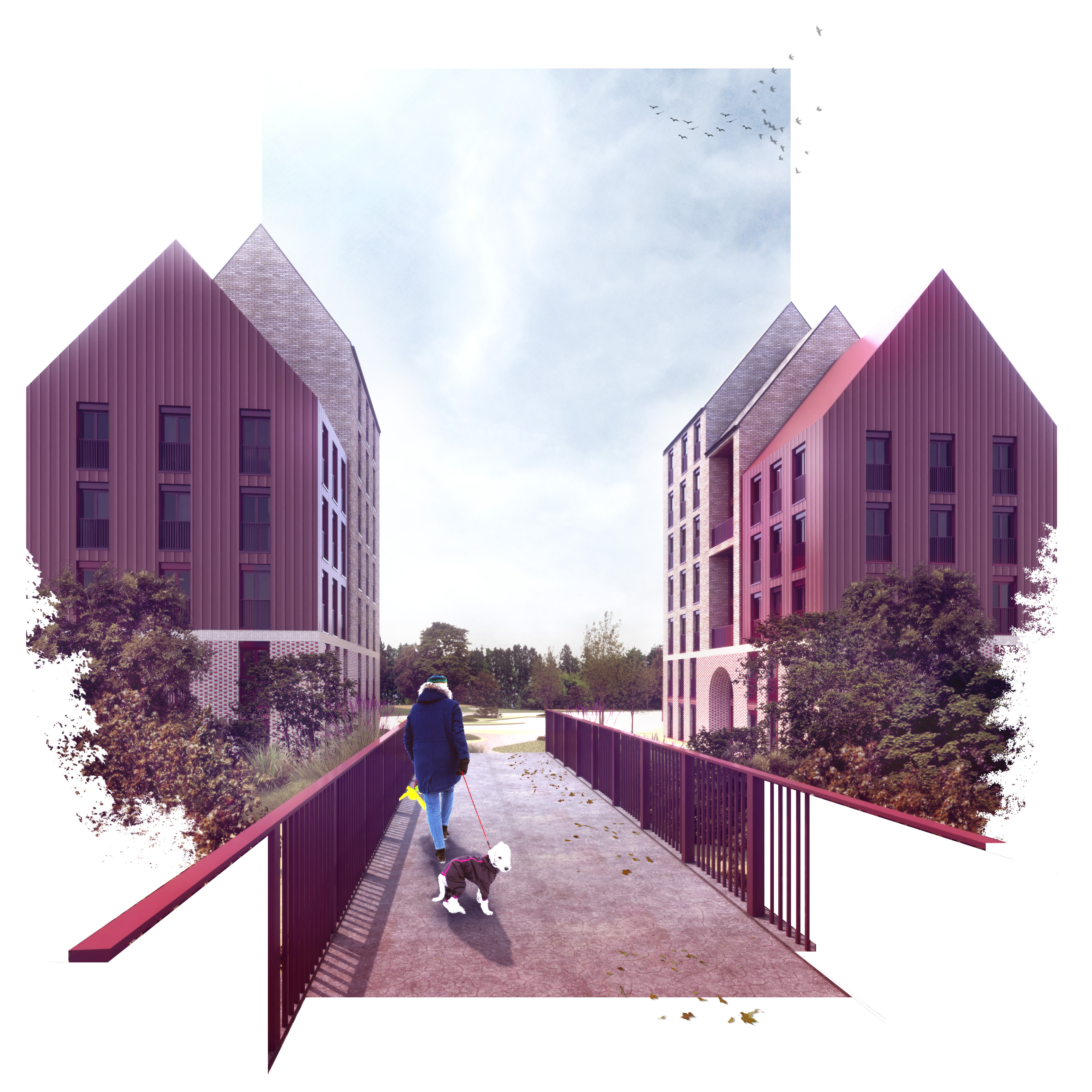 Cumbernauld housing project receives planning permission Scottish